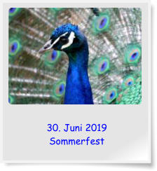 30. Juni 2019 Sommerfest