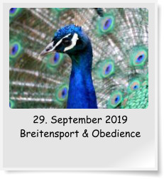 29. September 2019 Breitensport & Obedience