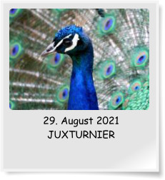 29. August 2021 JUXTURNIER
