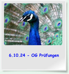 6.10.24 - OG Prfungen