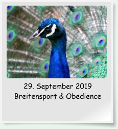 29. September 2019 Breitensport & Obedience