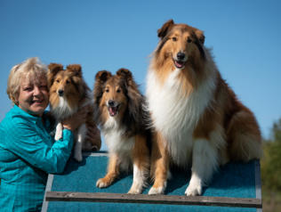 Silvia Prischl mit Monty, Pilot und Woody 