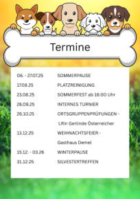 Termine 2025