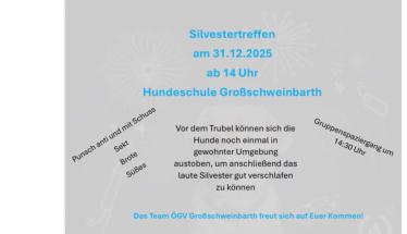 Silvestertreffen