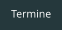 Termine