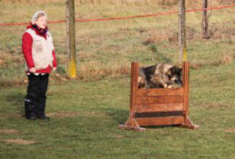 In Memoriam - Cherie beim Bringen ber die Hrde